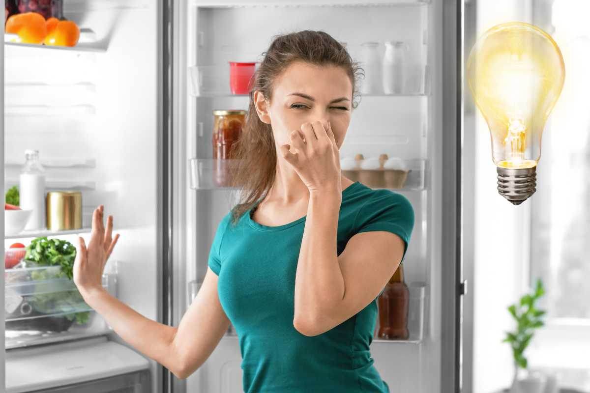 frigorifero addio cattivi odori 