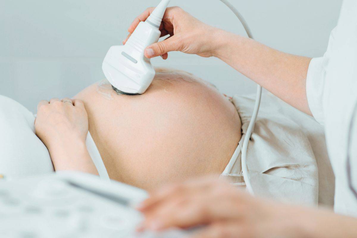 donna gravidanza ecografia